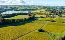 Sandridge Barton, the home of Sharpham Wine