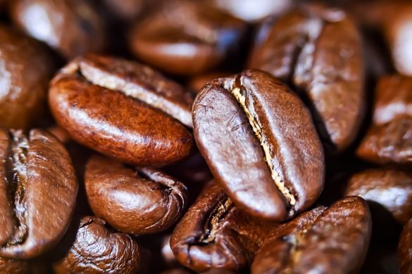 Jamaica Blue Mountain Coffee Festival celebrates the world’s best tasting coffee this spring Jamaica Blue Mountain Coffee Festival celebrates the world’s best tasting coffee this spring