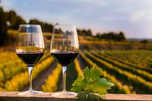 Costa Daurada, Wine Tourism