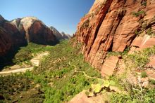 Zion Canyon & Angel's Landing Trail, Zion National Park, Utah, USA