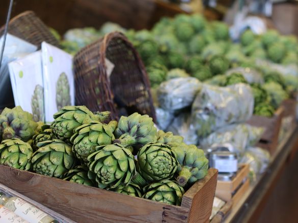 Artichokes - Monterey County, California