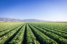 Salinas - Monterey County, California