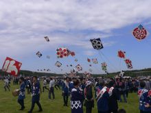 Hamamatsu Kite festival
