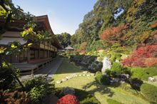 Ryotanji Temple