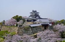 Hamamatsu Castle