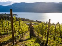 Okanagan Valley, British Columbia