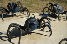 Let's Get Crabby in a Big Way