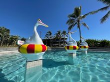 Yeppoon Lagoon