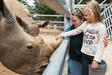 Meet some incredible animals