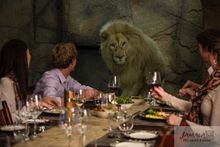 Jamala Dining Cave