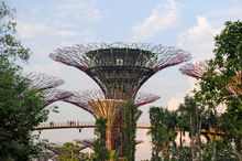 Gardens by the Bay - Arthur Yap