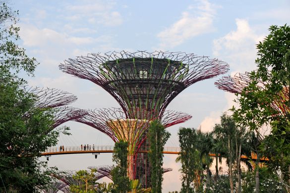 Gardens by the Bay - Arthur Yap Gardens by the Bay - Arthur Yap