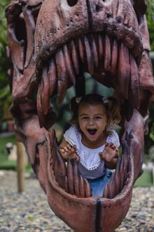 Capricorn Dinosaur Park