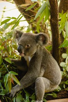 Cooberrie Park Wildlife Sanctuary