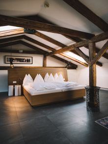 Room at Arthotel Blaue Gans 
