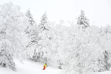 Mont SUTTON