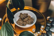 Oakland Cannabis Trail