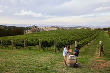 Couple enjoying Swift Sparkling Wine and oysters with scenic views across Printhie Wines vineyard in Nashdale, near Orange