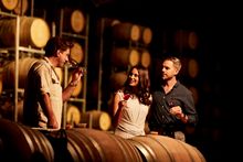 Couple enjoying a wine tasting experience with chief winemaker Stuart Hordern at Brokenwood Wines, Pokolbin