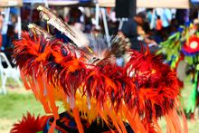 Photo credit: AIANTA // Steward Father's Day Powwow