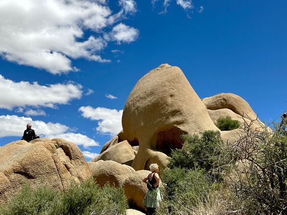 Skull Rock at Joshua Tree National Park Skull Rock at Joshua Tree National Park