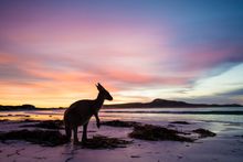 Lucky Bay Dusk