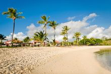 Beach hotel in Mauritius, part of Newmarket Holidays' new On Safari Tour