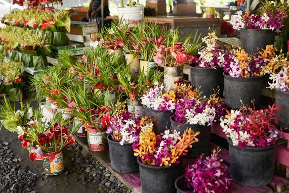 Display at Hilo Farmers Market.
