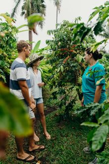 Couple takes tour through a Kona coffee farm.