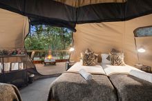 Woodlands Family Luxe Tent