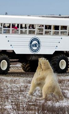 Frontiers North Tundra Buggy