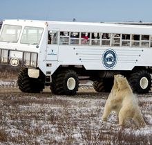 Frontiers North Tundra Buggy