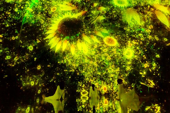 Floating in the Falling Universe of Flowers_summer_