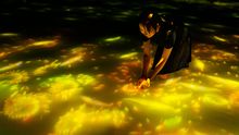 Drawing on the Water Surface Created by the Dance of Koi and People - Infinity_Sunflower_08