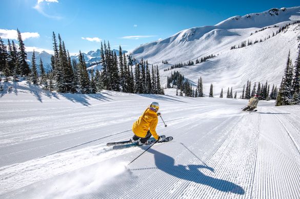 Ski Whistler 
