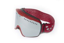 Panda Optics RS1 Ski Goggles