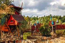 Tree houses 