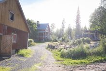 Hakamaa Sheep Farm