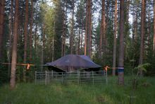 Hakamaa Sheep Farm