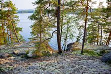 Hideaway Glamping