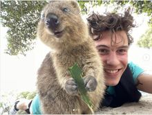 Shawn Mendes