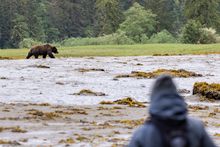 Explore remarkable wild places like Southeast Alaska, without added costs.