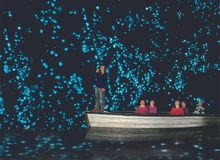 Waitomo Glowworm Caves, NZ