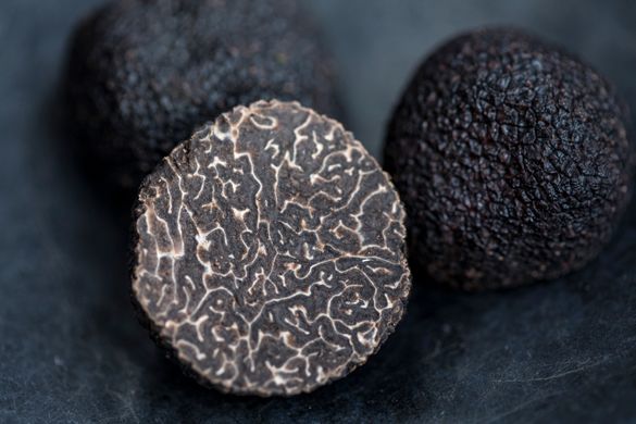 Coomer Truffles