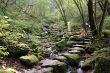 Mt. Mitake 