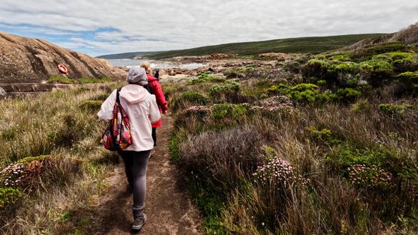 Guests exploring Hamelin Bay