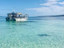 Guests spotting Stingrays from the Xplorer in Hamelin Bay 