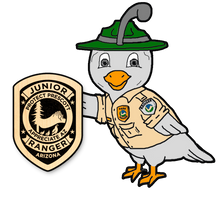 Junior Ranger Quail