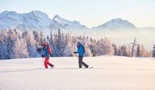 Winter and Snowshoe Hiking near Innsbruck