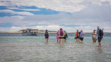 Coral Expeditions guests walking towards Xplorer tender